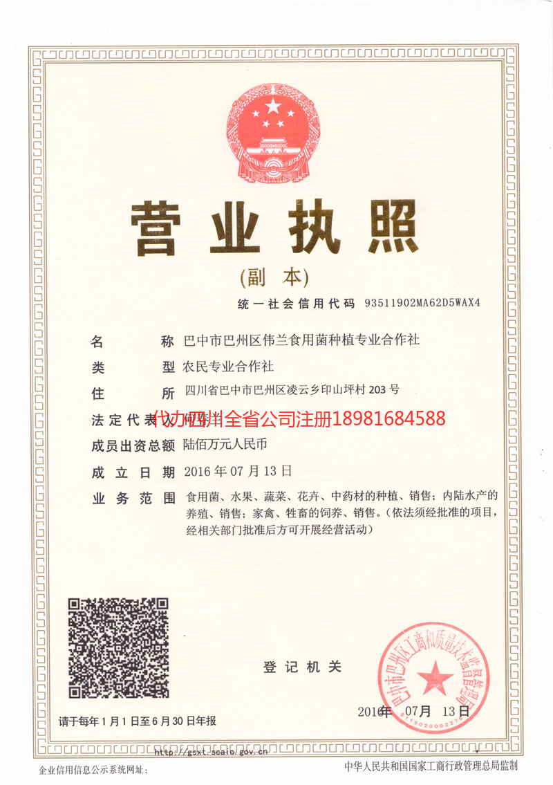 邵阳邵阳伟兰食用菌种植专业合作社